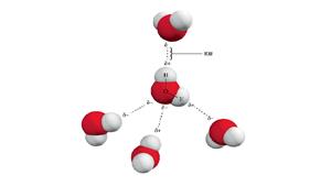 水分子之间靠氢键结合示意图