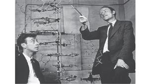 沃森（左）和克里克（右）在讨论和搭建DNA双螺旋结构模型