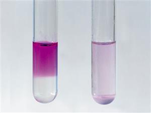向碳酸钠（左）、碳酸氢钠（右）的水溶液中滴入酚酞溶液