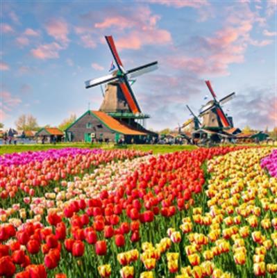 推荐阅读：美丽的荷兰