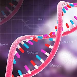 《核酸是遗传信息的携带者》原创精品课件