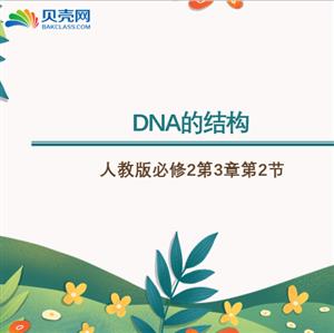 《DNA的结构》复习课件