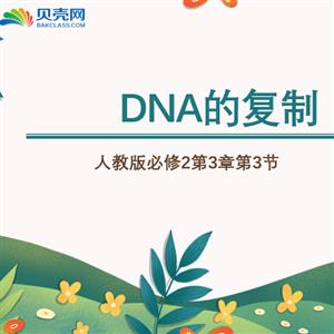 《DNA的复制》复习课件